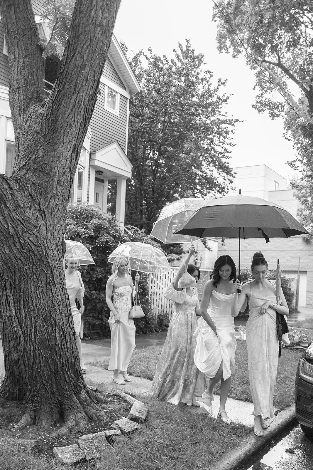 02 Cat_Cat and Tim-172.jpg