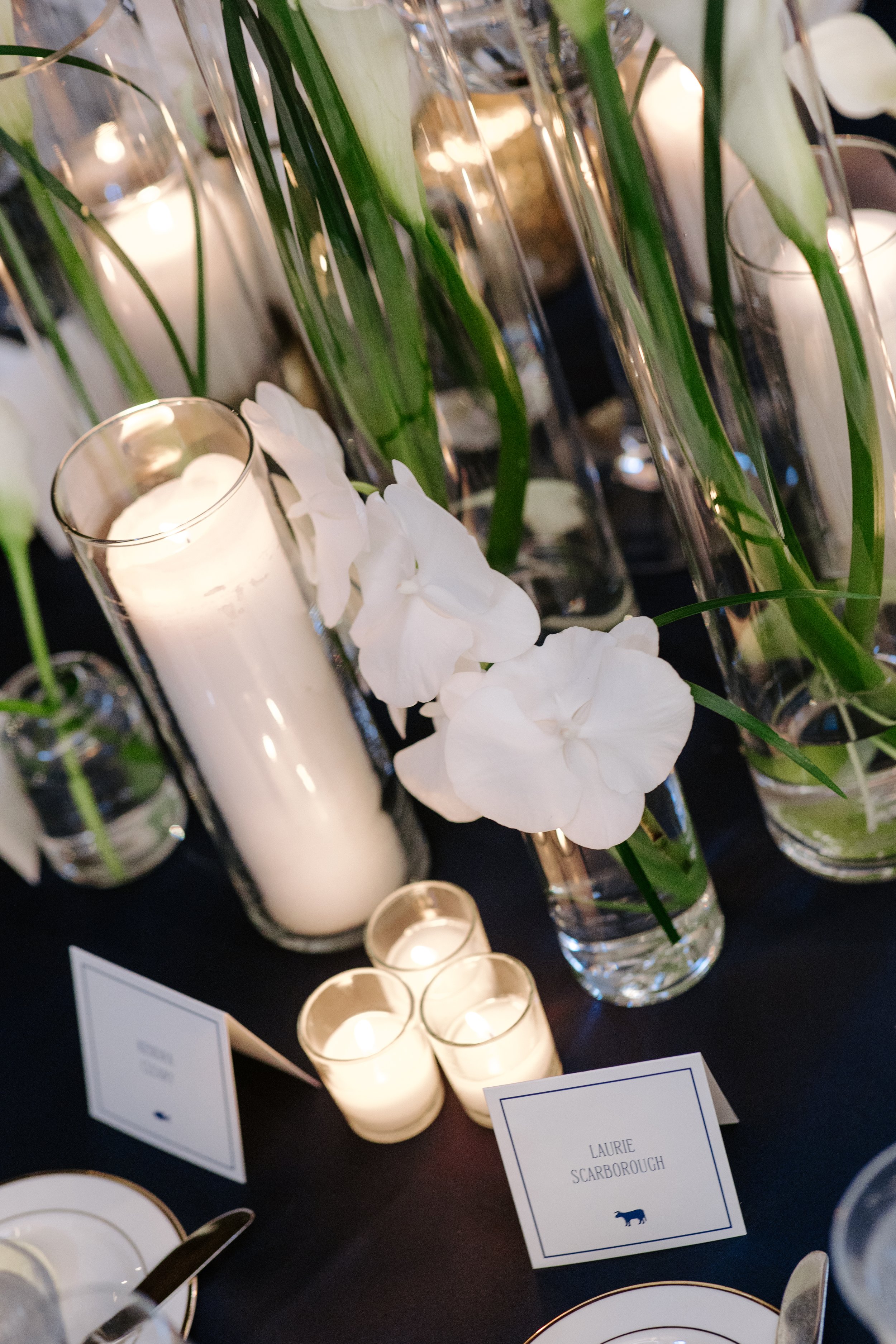 CarnagioHaapala_KerriCarlquistPhotography-1147.jpg