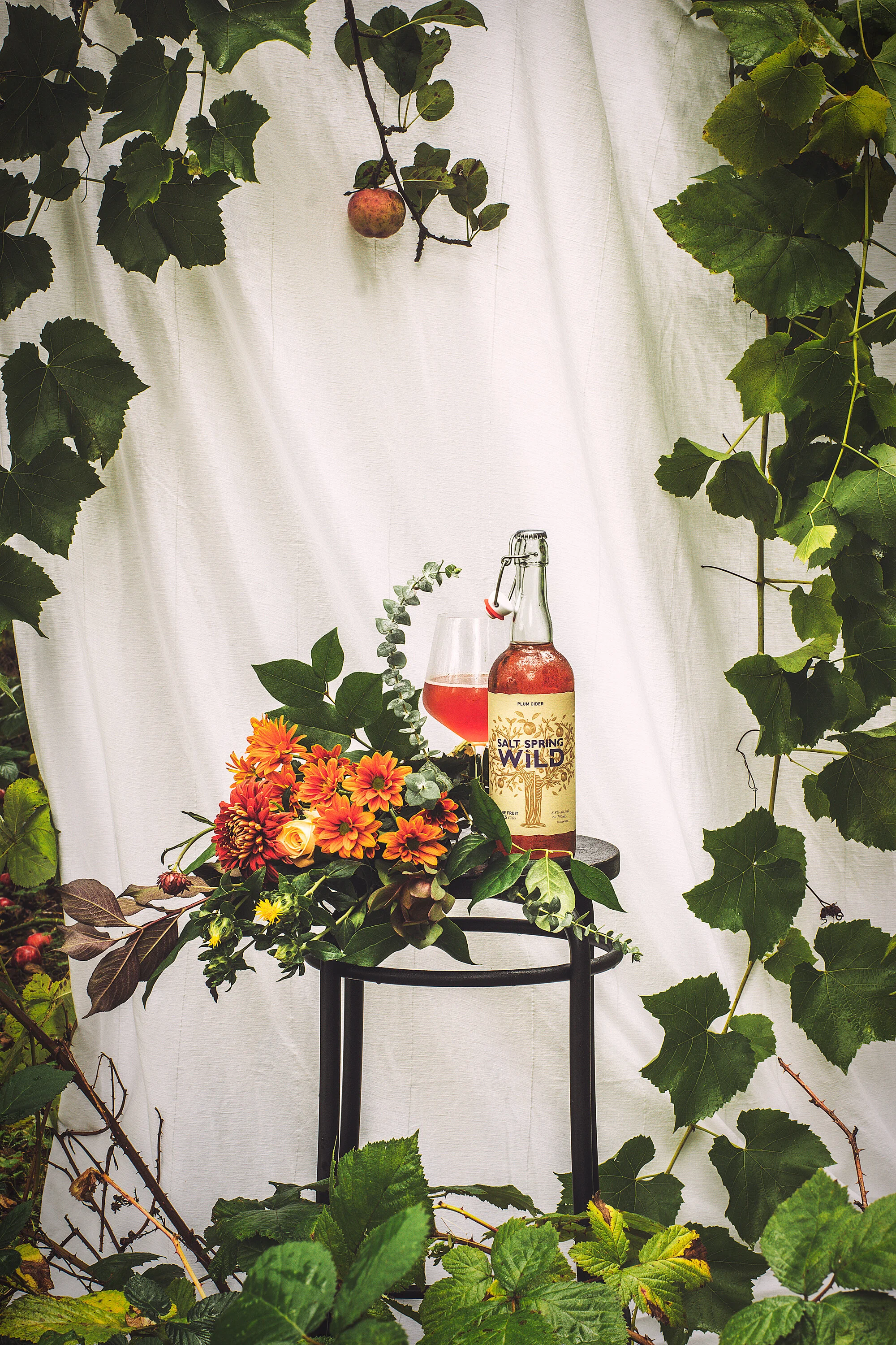 SALT-SPRING-CIDER-6.jpg
