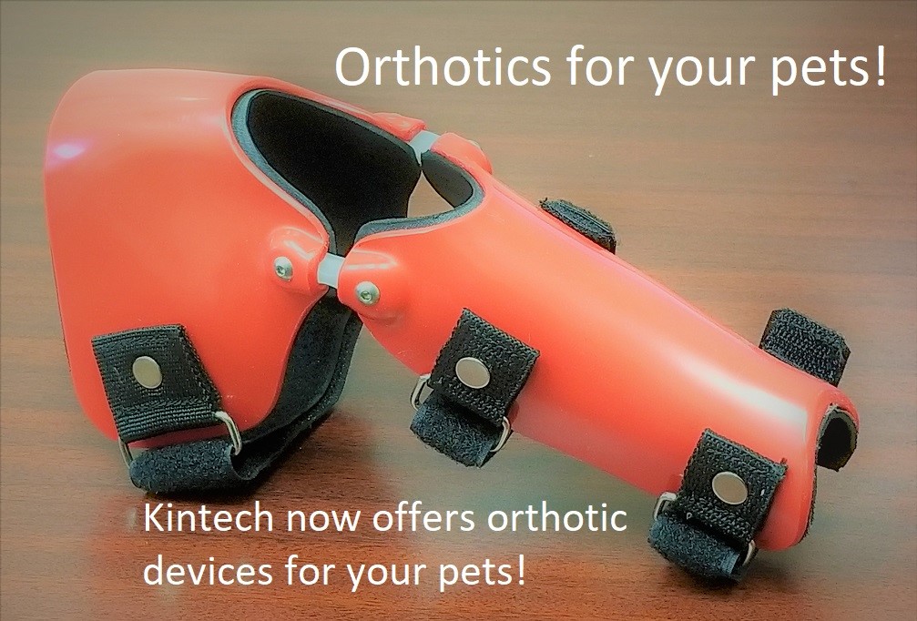 Pet orthotics