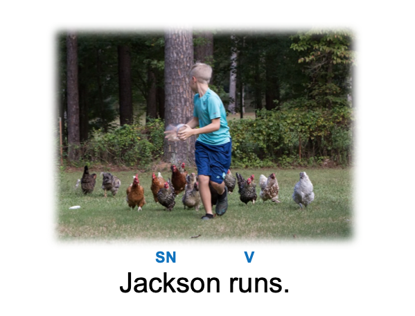 Pattern 1 with Shurley English.png