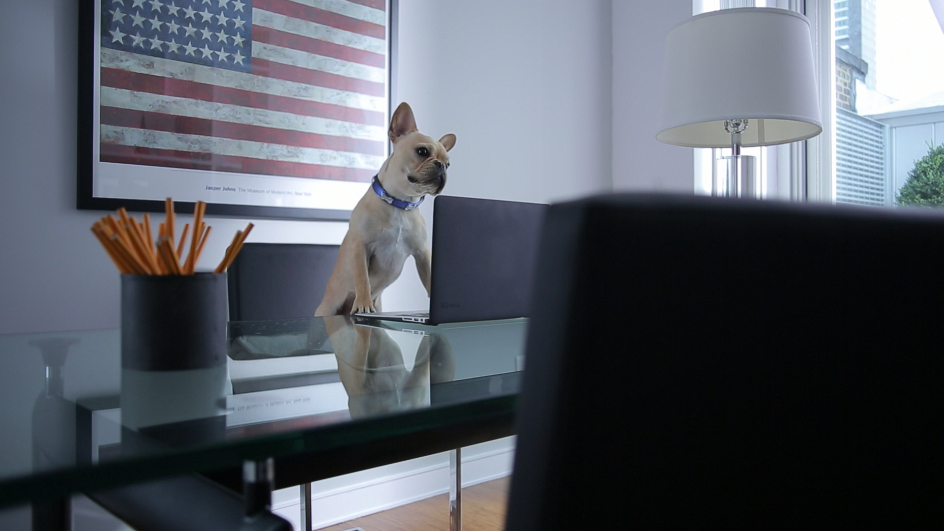 Corcoran - NIC EDIT - MASTER.mov.Still001.jpg