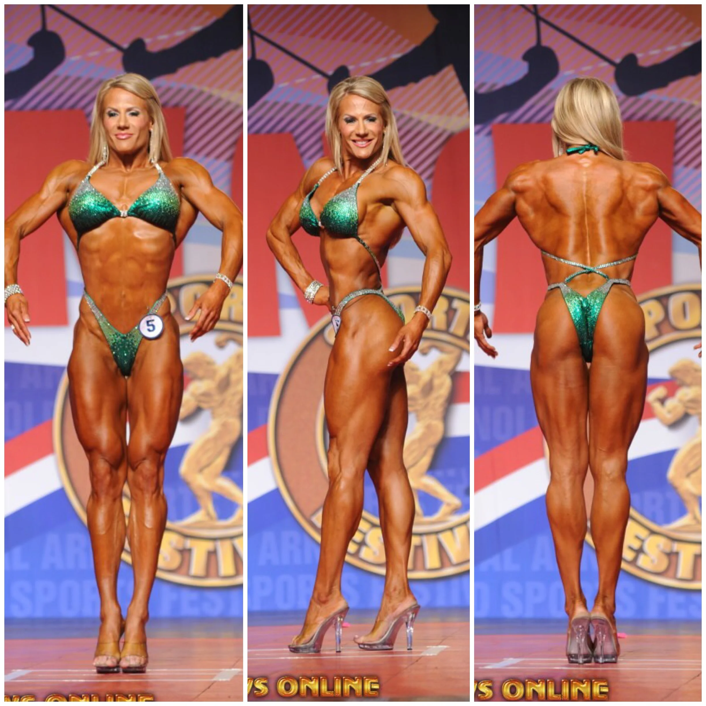 2015 Arnold Classic Fitness International -- 