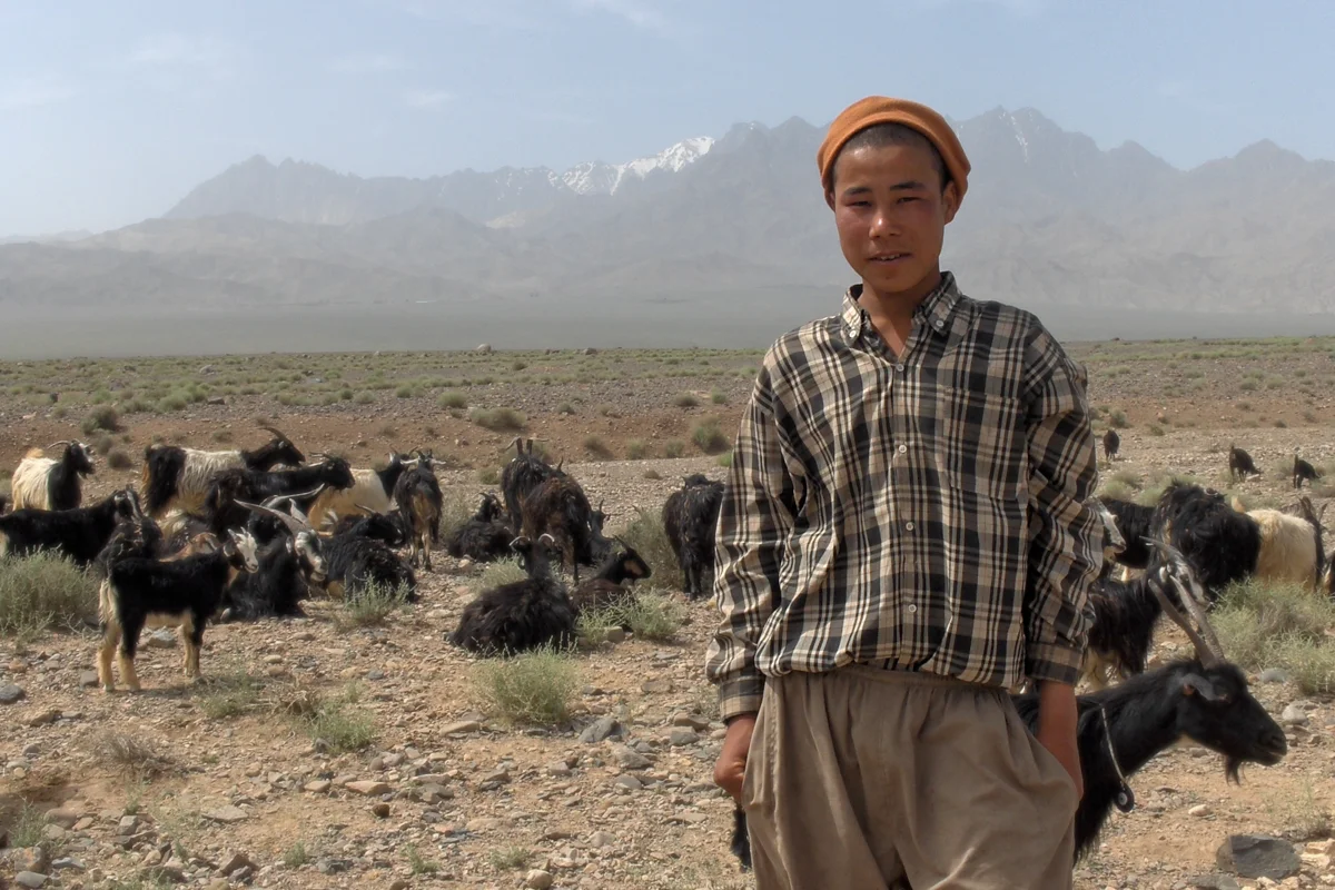iran - goat herder boy.jpg