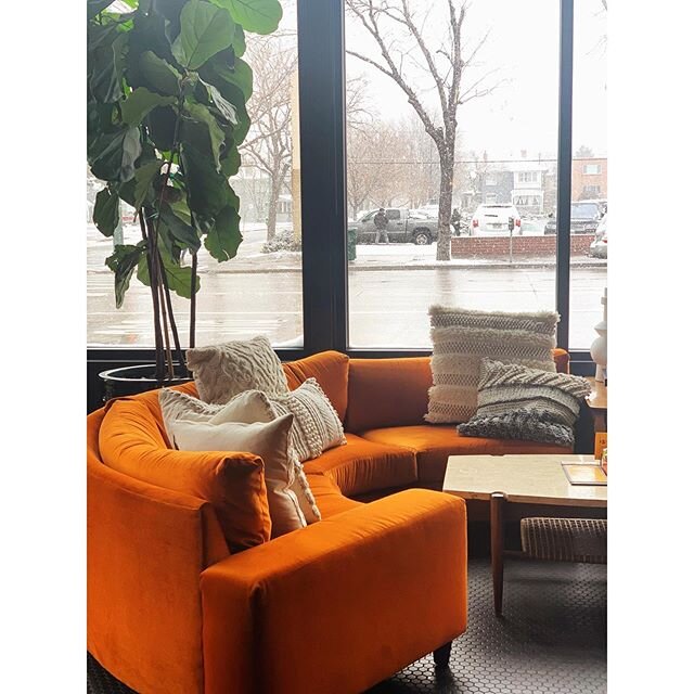 Lunch outings are now mandatory on Mondays. 
Planning and scheming on a cozy day with muh girl @jesslynndavis ✨⚡️✨ Also, this couch 😍 @postinowinecafe