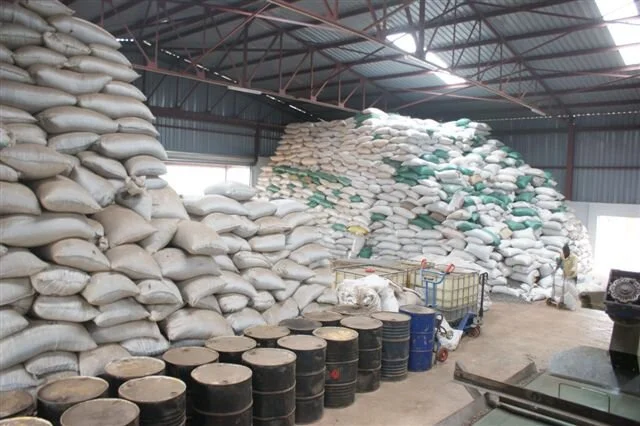 Berl Factory Seed awaiting processing.JPG