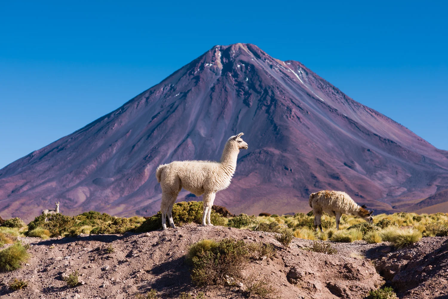 South_America_2015_1213_090303-5729_SAG.jpg