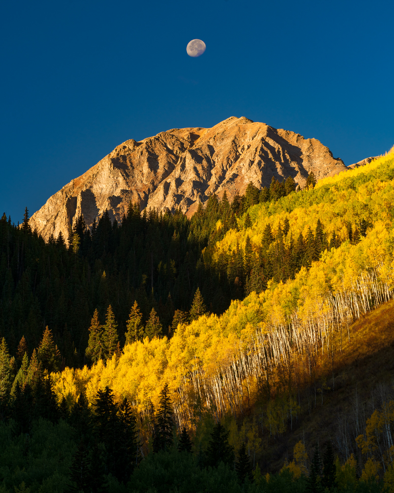 Aspen2018_0928_080003-0290_SAG-Edit-2.jpg