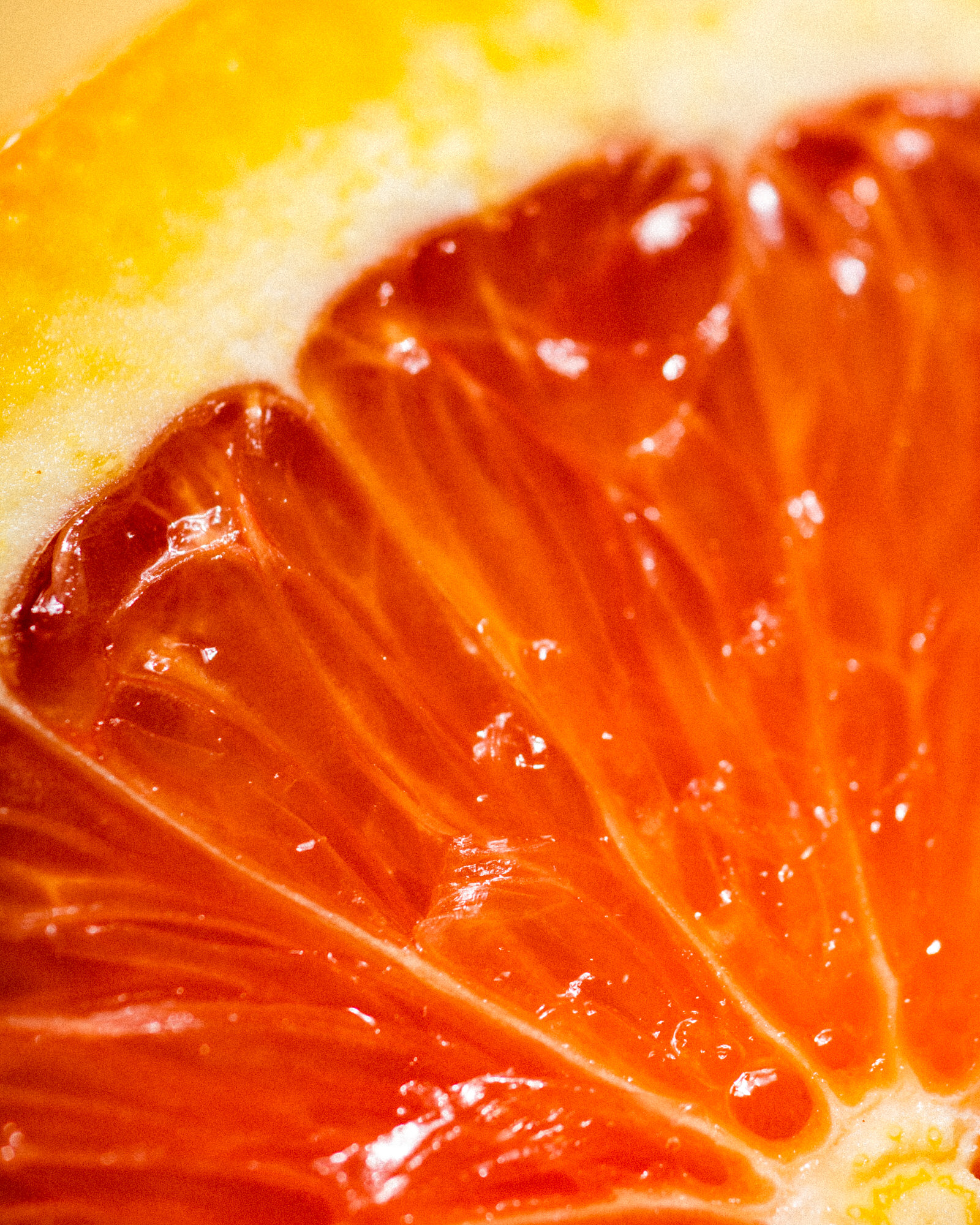 Althea_Citrus_Season2019_0107_162007-1593_SAG.jpg