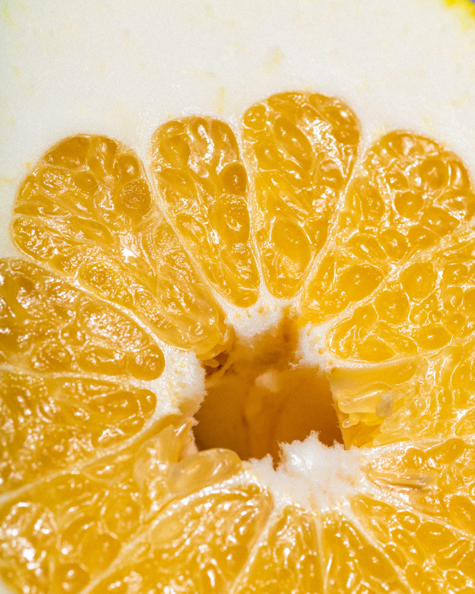 Althea_Citrus_Season2019_0107_174301-1902_SAG.jpg