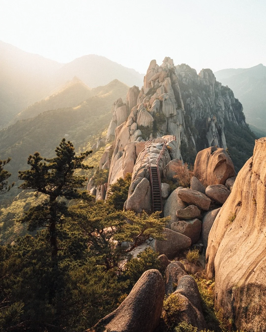 After shooting EDC Korea last month, I set off solo across the country before stepping into paternity leave.

I hiked to the top of Ulsanbawi Rock, wandered the gardens in Sokcho, and relied on my toddler-level Korean to chat with taxi drivers and fi