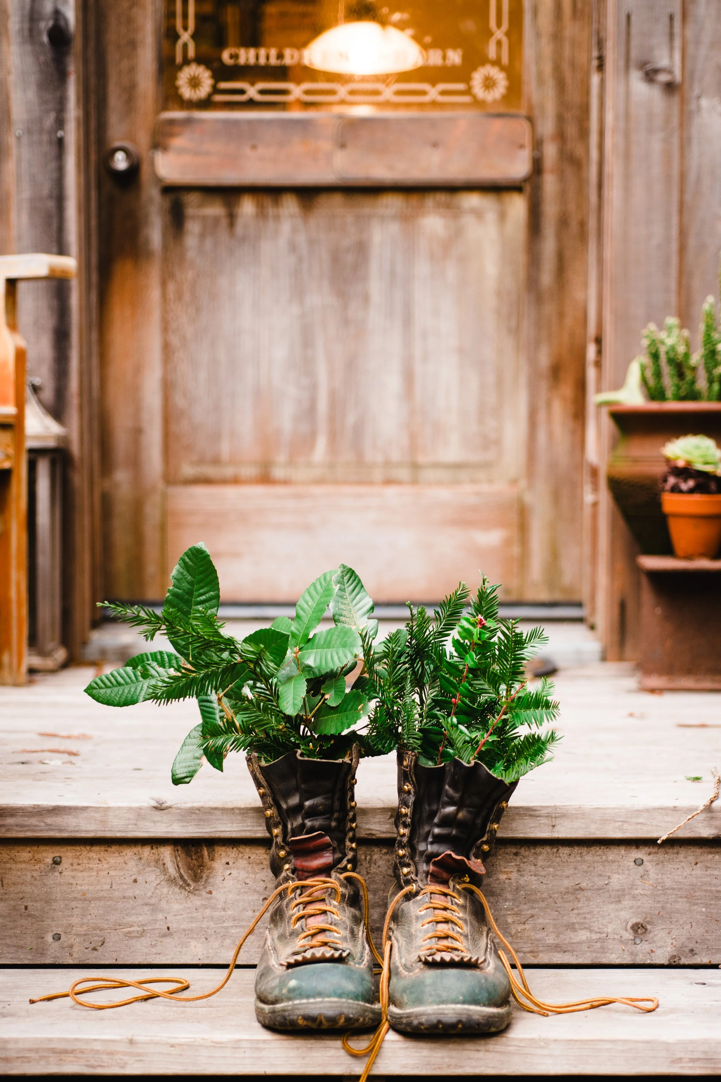 JRFL_WinterRedwood2019_0223_165117-8687_SAG.jpg