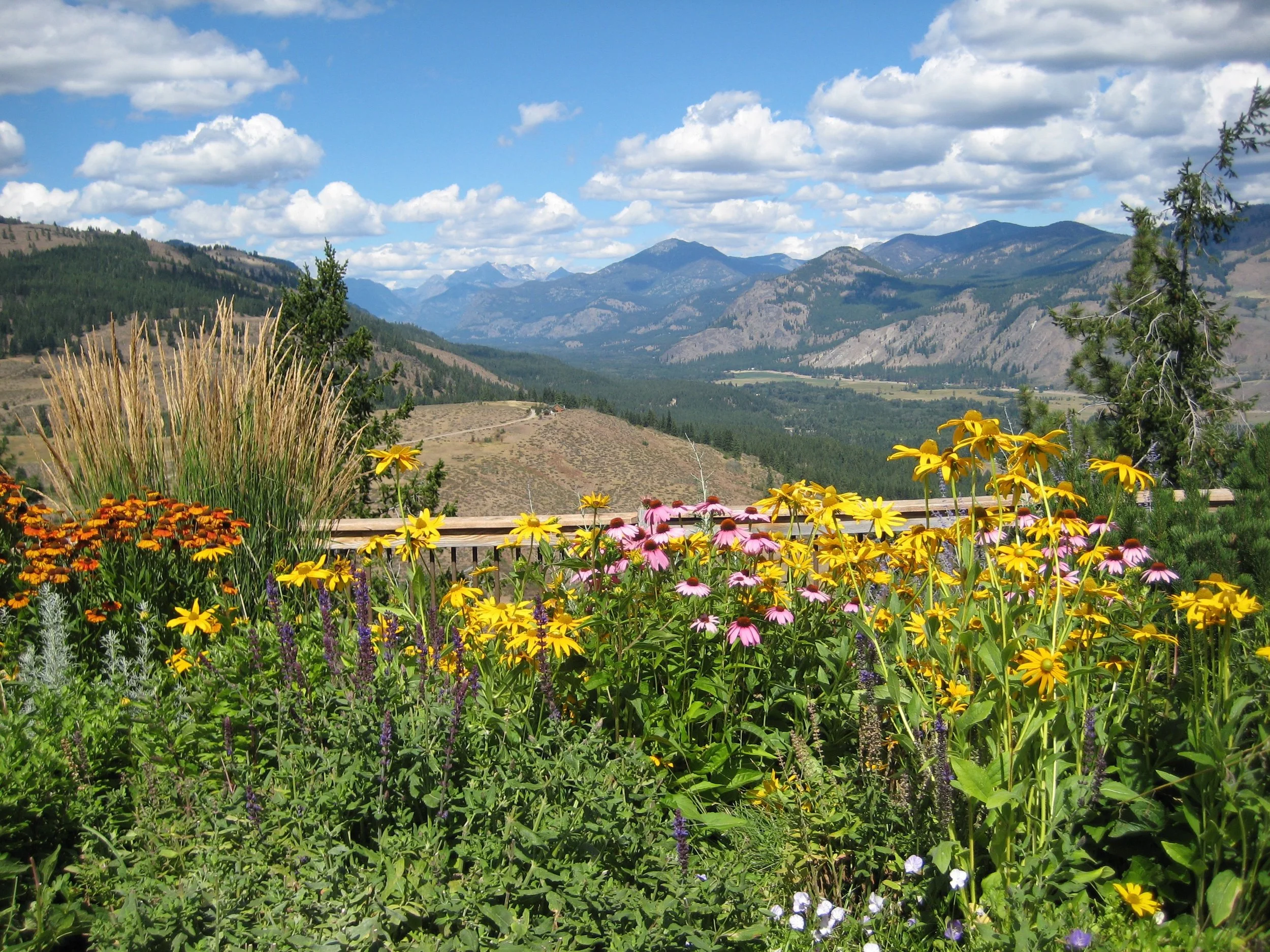  With Aldo Leopold, we discern that “bread and beauty grow best together.” Thus, we seek both to restore landscapes and local economies  and  to create meaningful jobs for many who are currently unemployed or underemployed. 