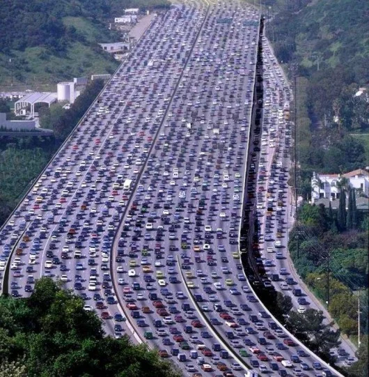  We seek to counter the increasing congestion in our cities, the decay in our countryside, the monopolization of enterprises and power, and the treatment of our land as a commodity instead of our common legacy. 