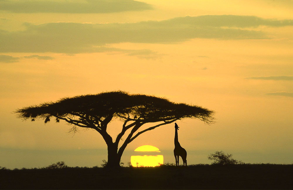 Photo credit to Boyd Norton, who was kind enough to send us this breathtaking photo and the quote above