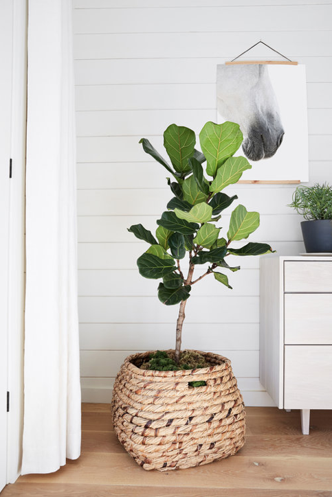 Screen Shot 2017-11-07 at 12.36.47.png