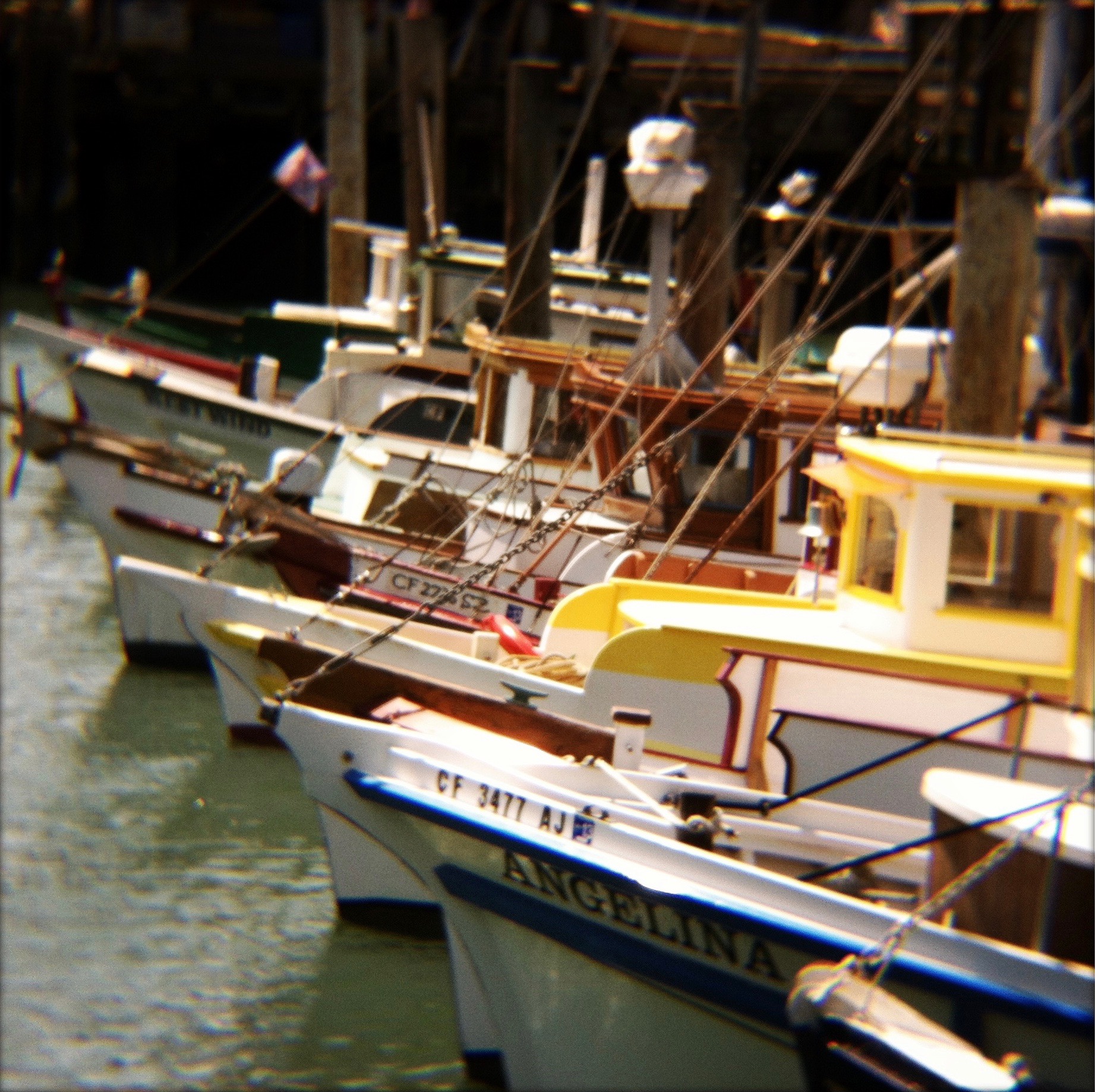 IMG_1490.jpeg