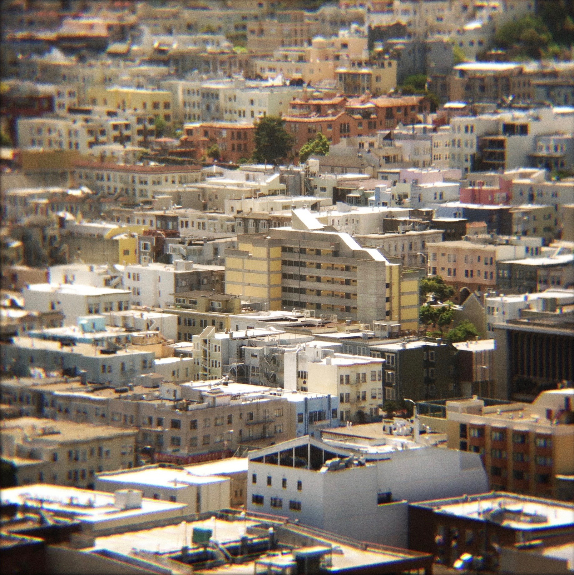 IMG_1639.jpeg