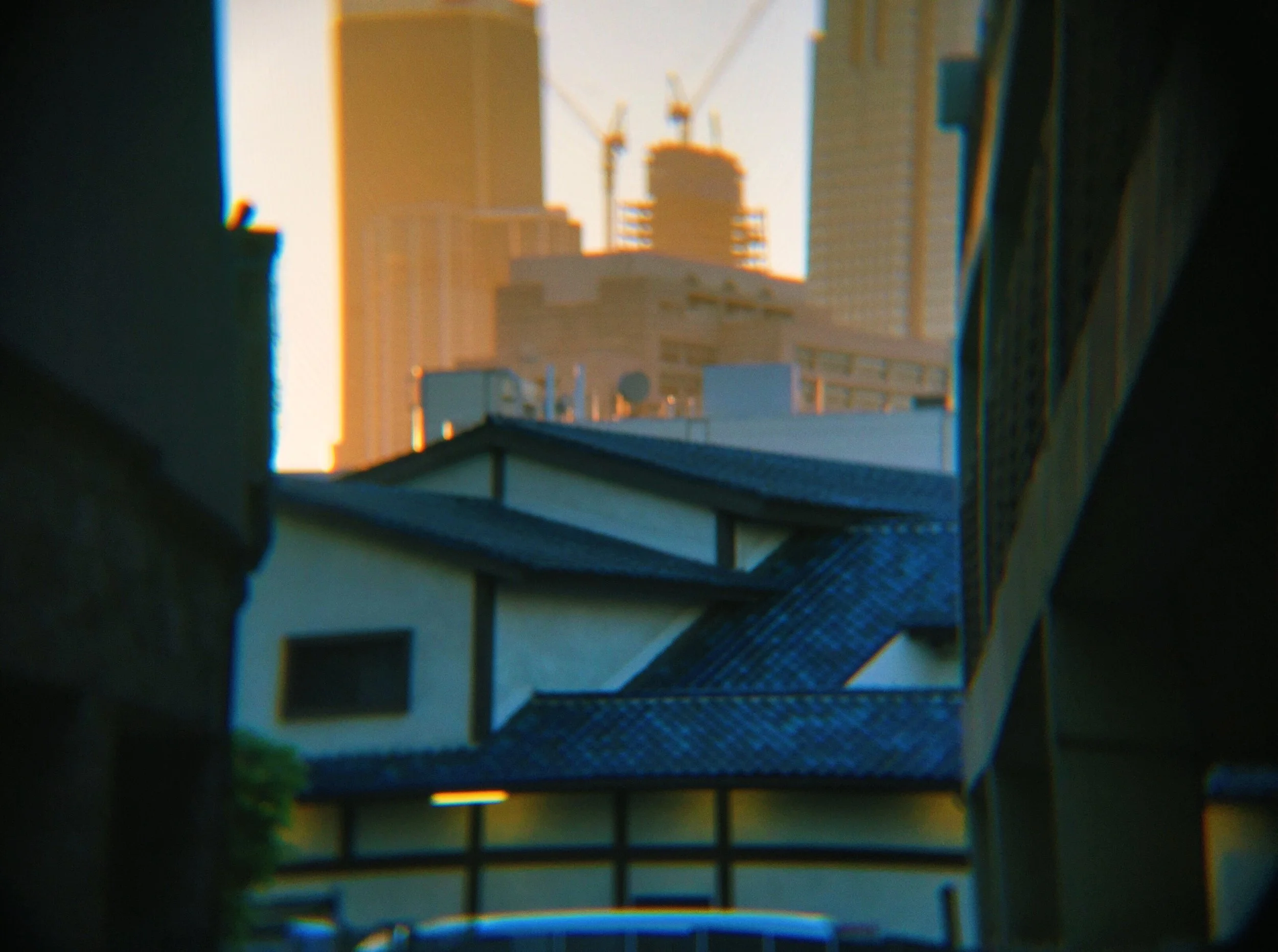 IMG_7720.jpeg