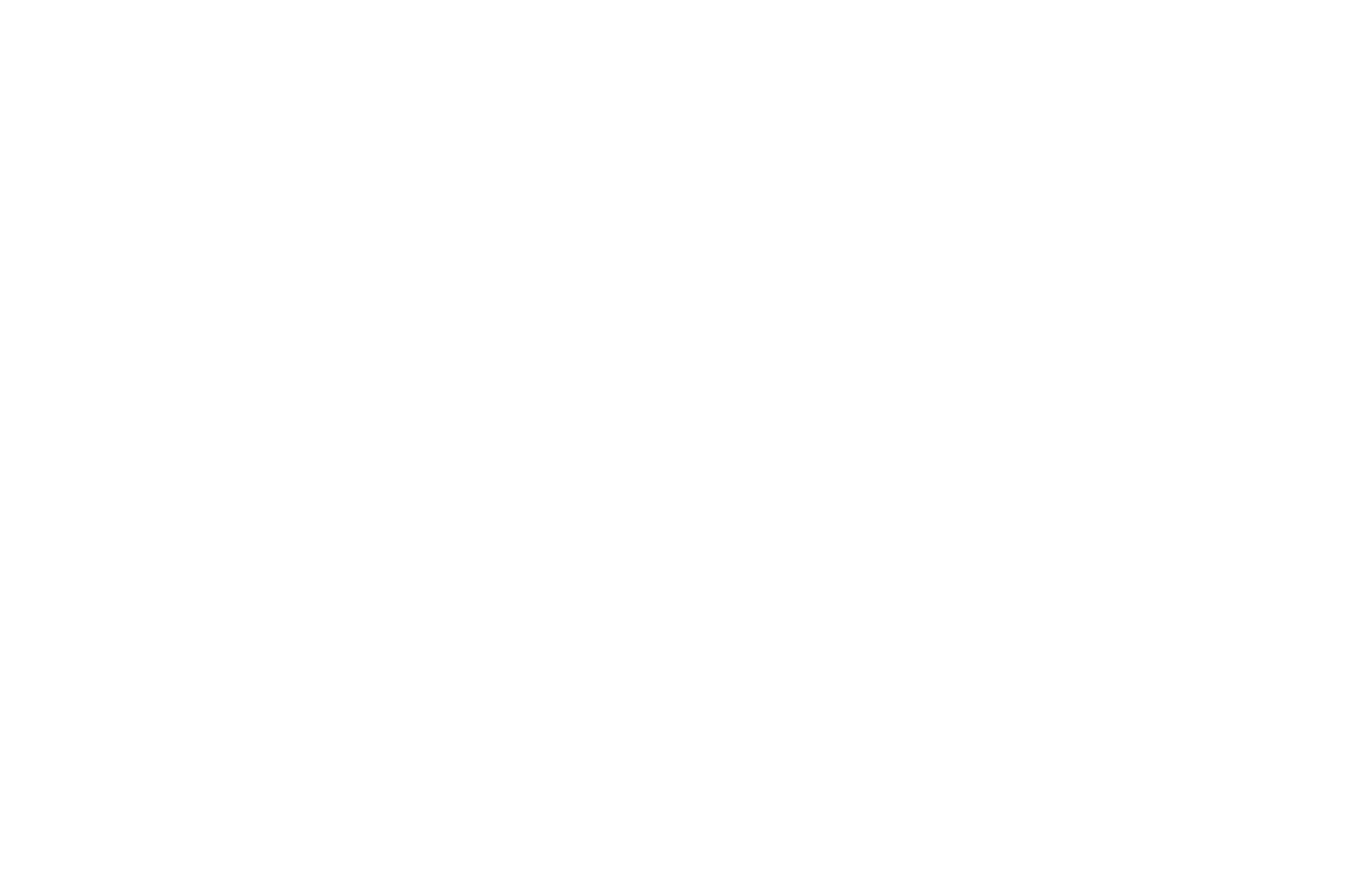 OFFICIAL SELECTION - Newport Beach Film Festival - 2022.png