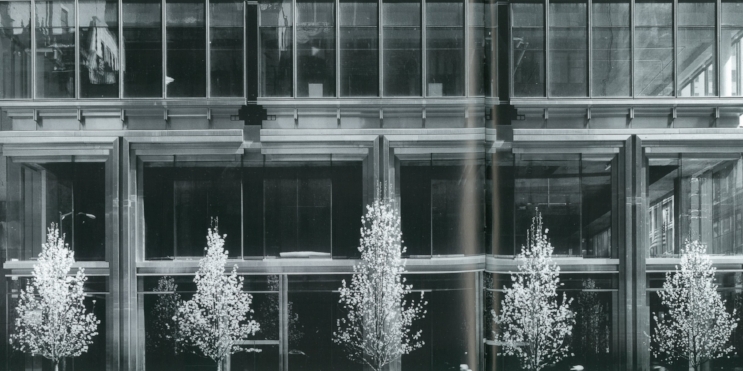 DC_2506516.jpg