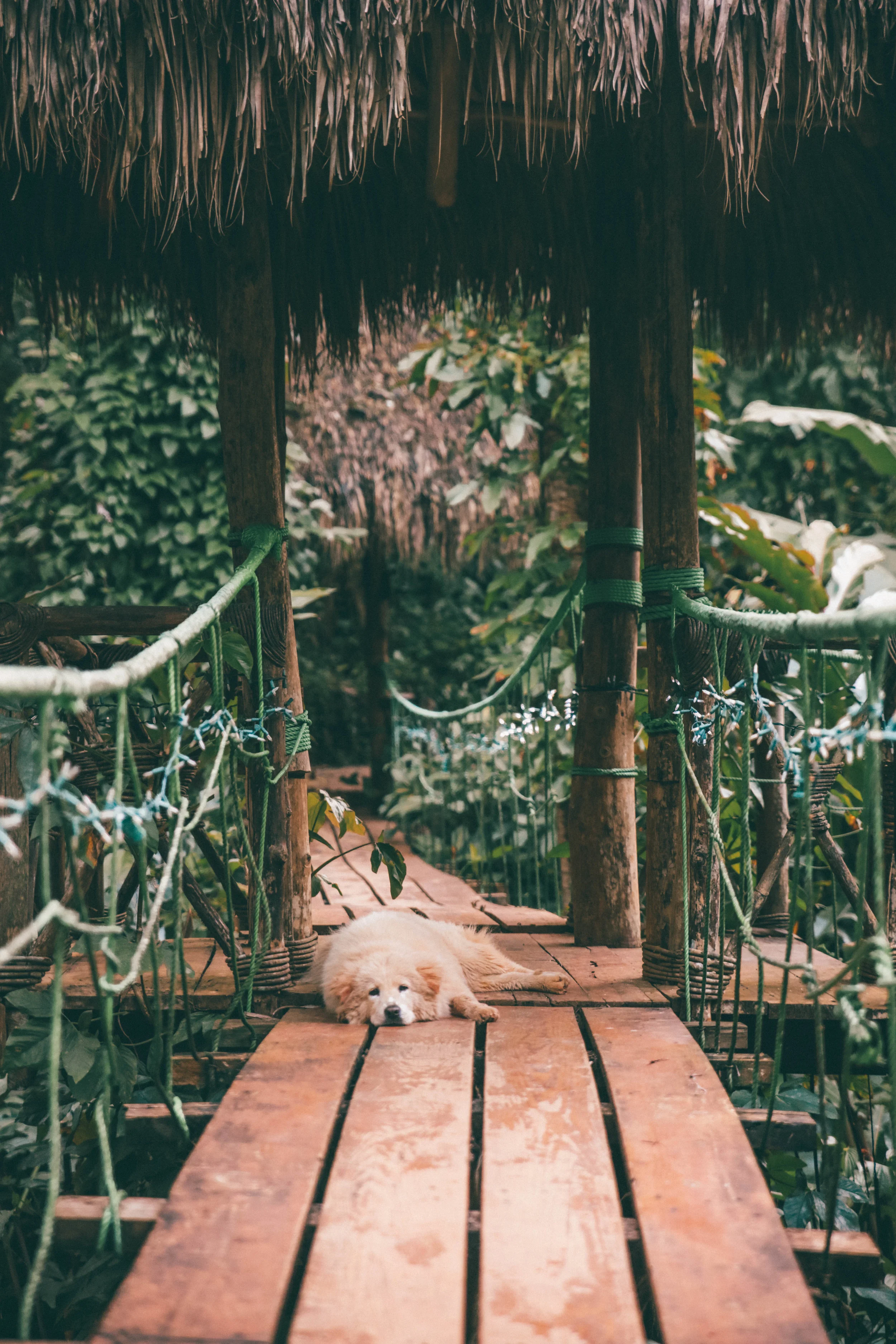 0U4A6745-4.jpg