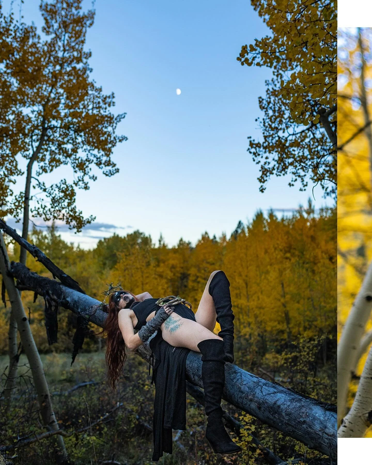 Happy Halloween ✨

A few shots from a spooky fall shoot with @reflectionsofamermaid - costume &amp; makeup all by her! Gotta love some spooky girls in the woods 👻

#spooky #halloween #spookyshoot #aspens #costume #witchy