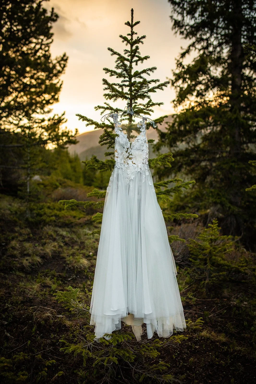 wedding dress hanging on tree sunrise elopement