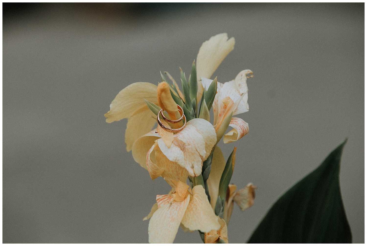 A_0106.jpg