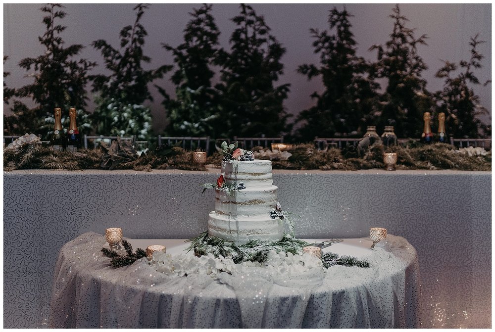 Katie Marie Photography | Hamilton Ontario Wedding Photographer | Ancaster Mill Winter Wedding | Oakville Conference Centre Wedding | RBG Wedding | Royal Botanical Gardens Wedding_0235.jpg