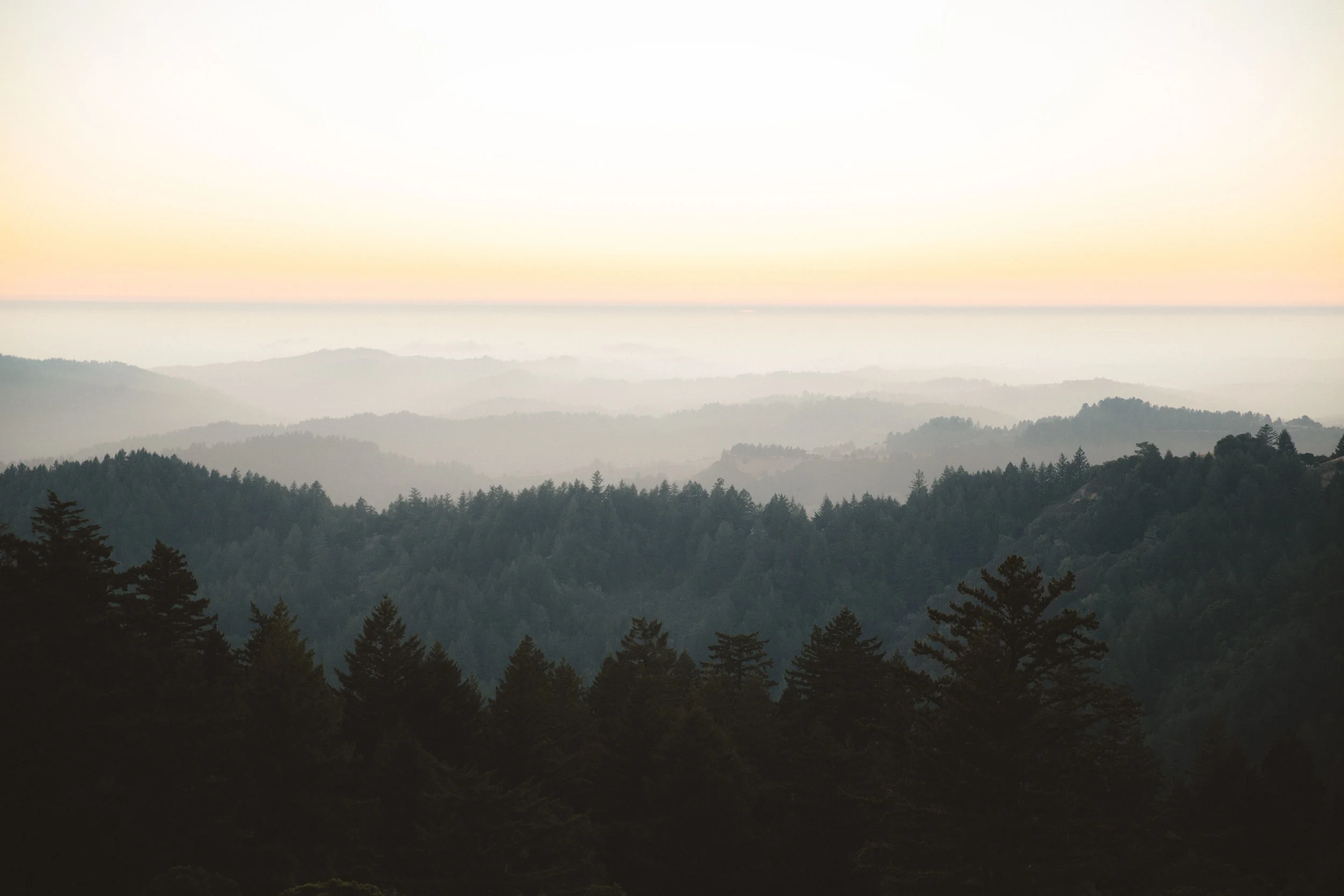 100 Days of Zen - Open Space Vista.JPG