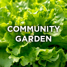 02_CommunityGarden.jpg