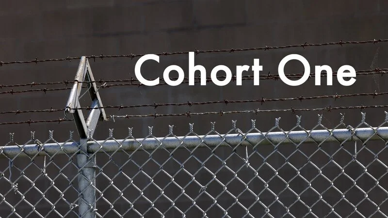 Cohort One poster.jpg