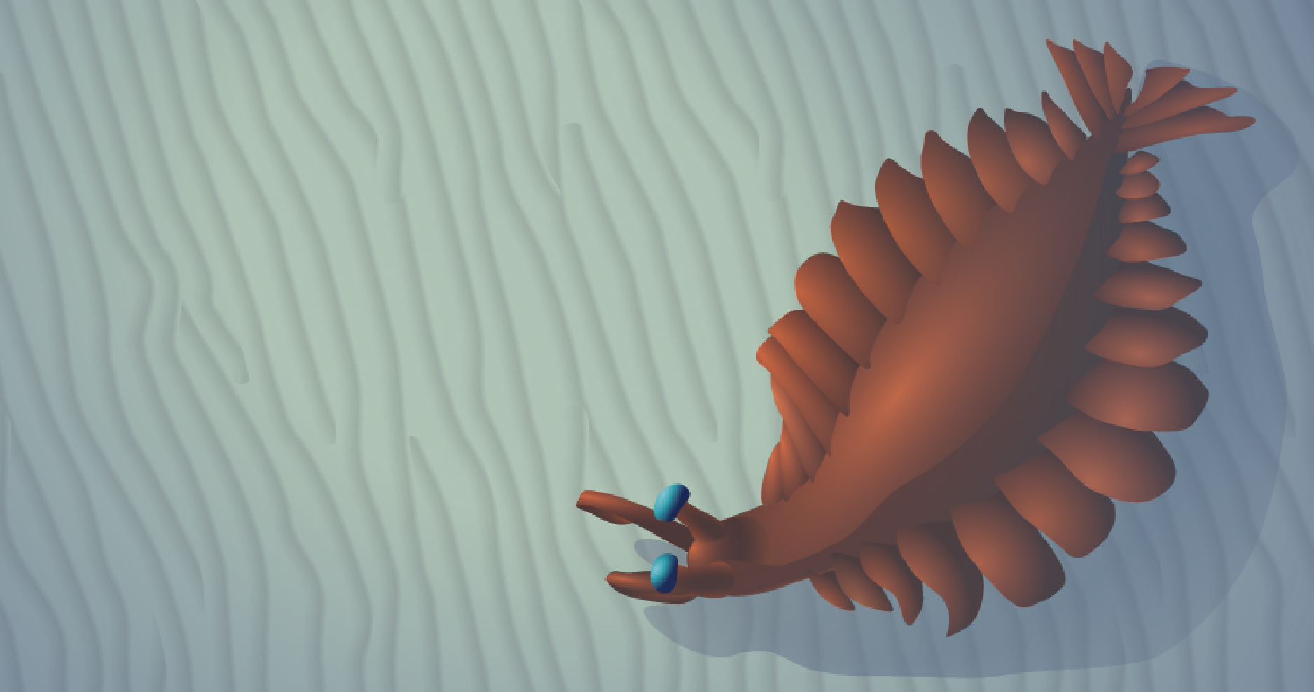 Anomalocaris