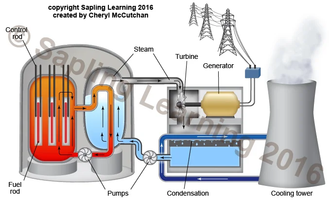 Nuclear power plant