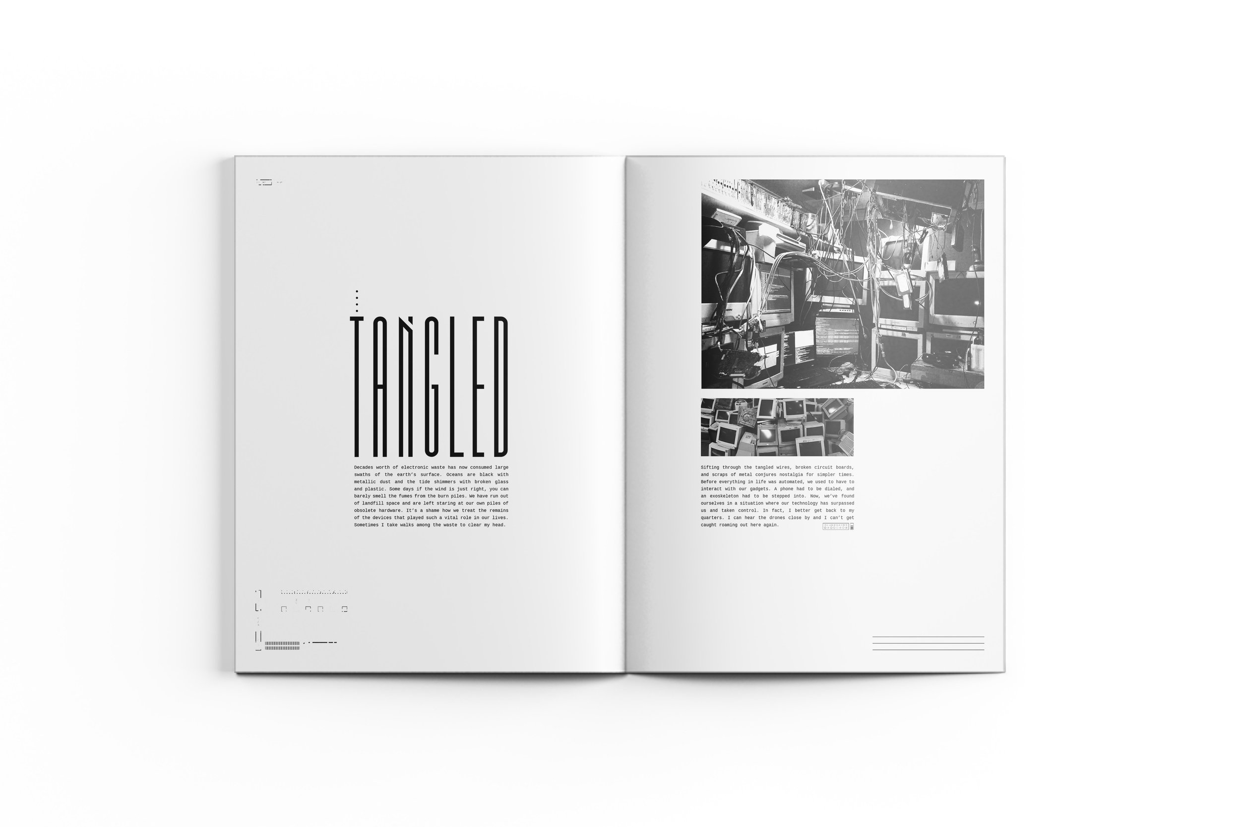 spread4.jpg
