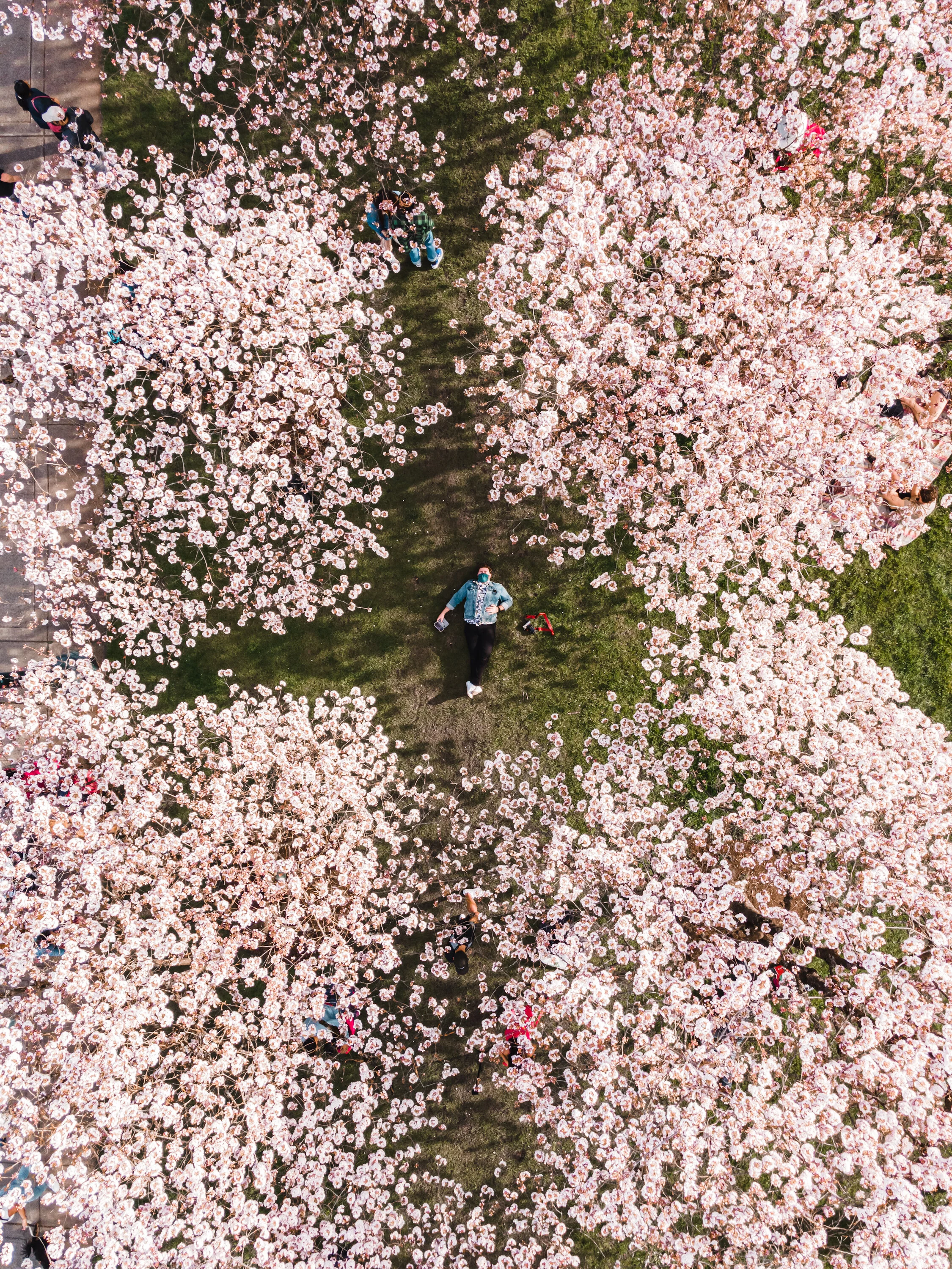 DJI_0247.JPG