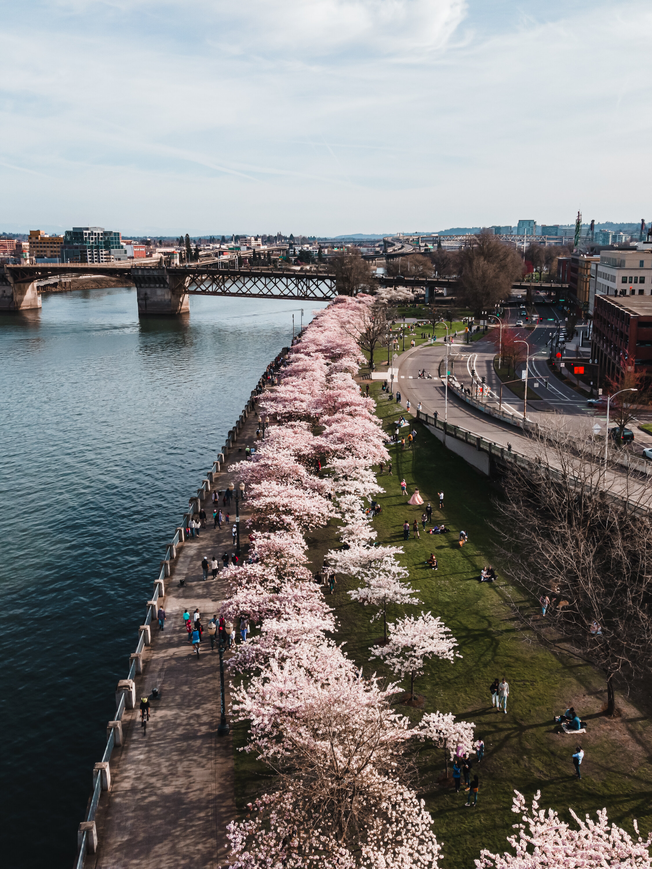 DJI_0238.JPG