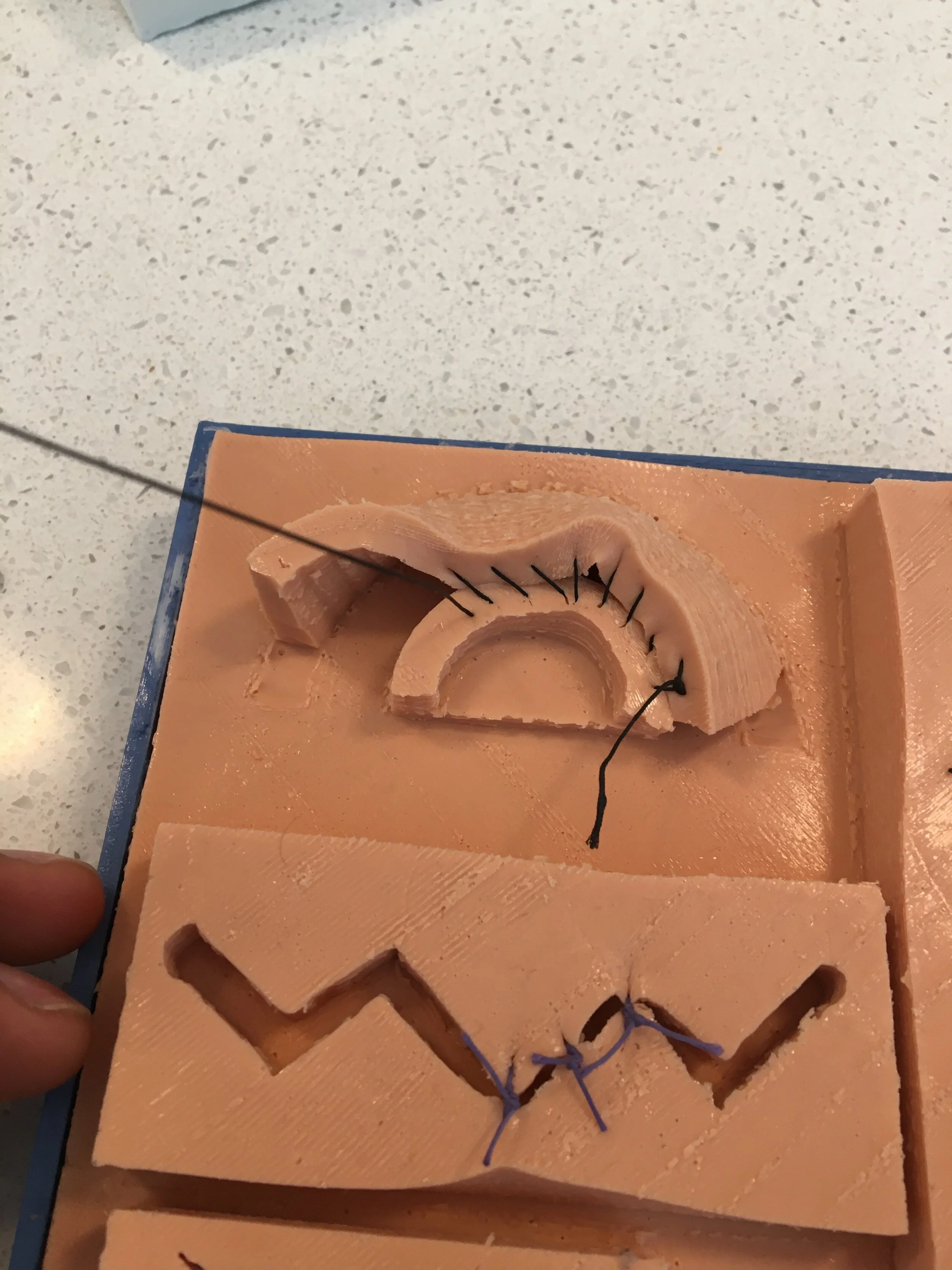 Image 7: Anastomosis practice