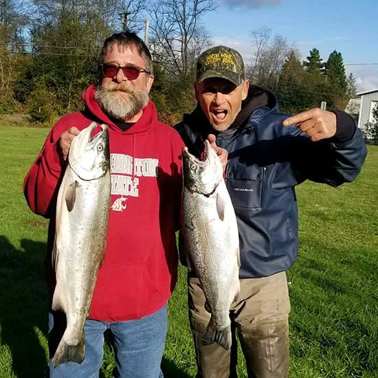 Coho-salmon.jpg