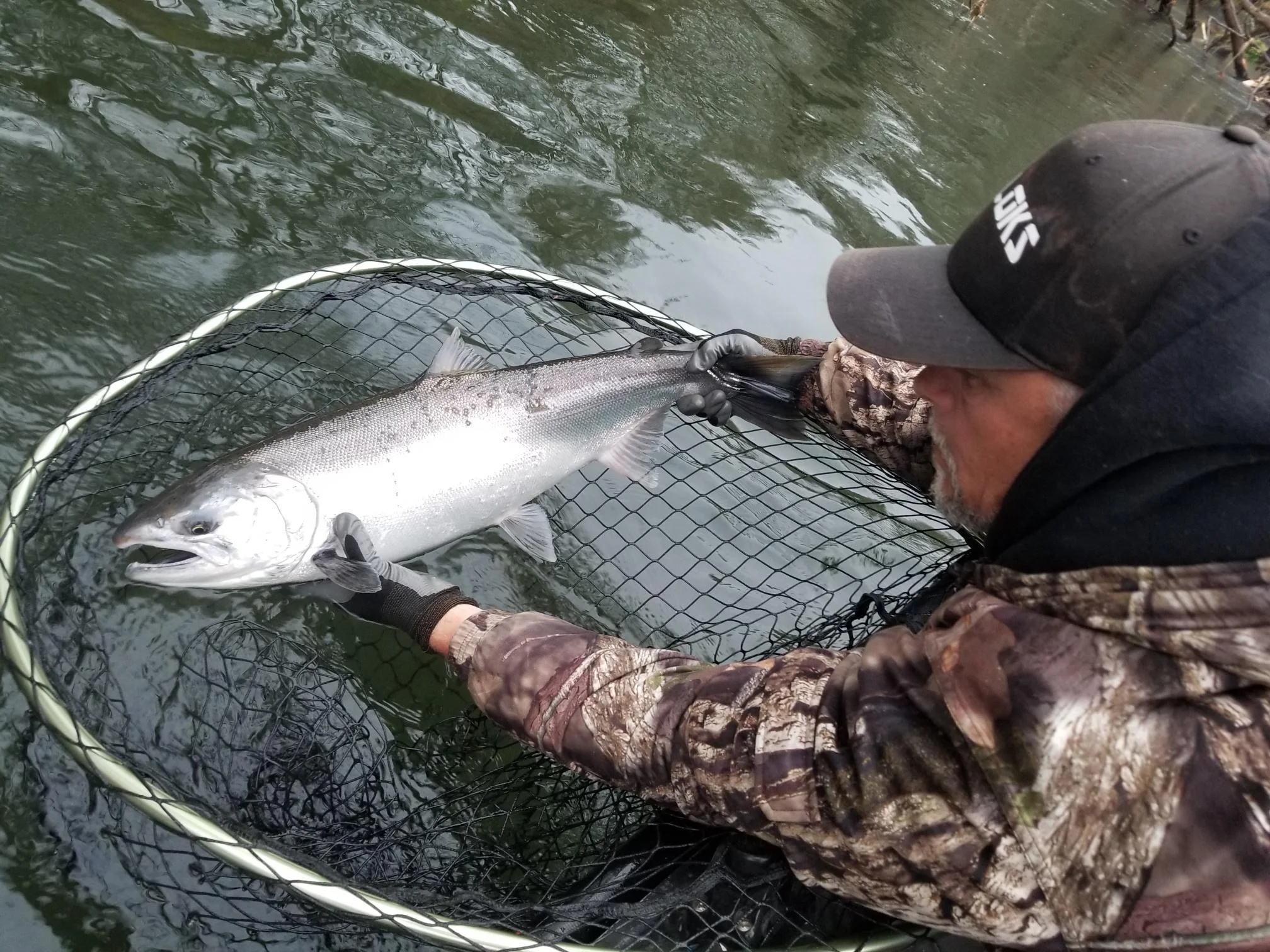 satsopnov92018coho.jpeg