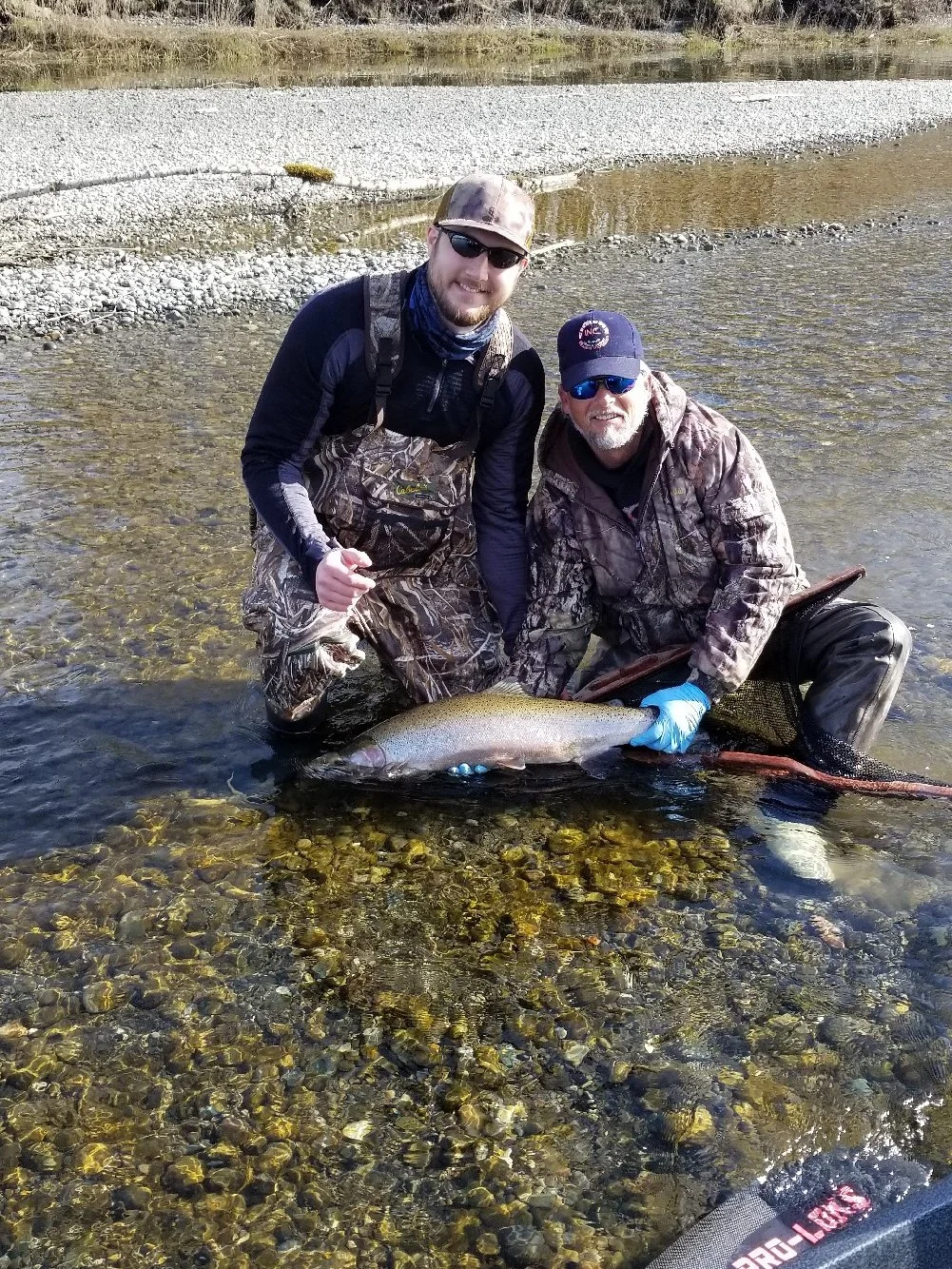 satsopmarch16steelheadMN.jpeg