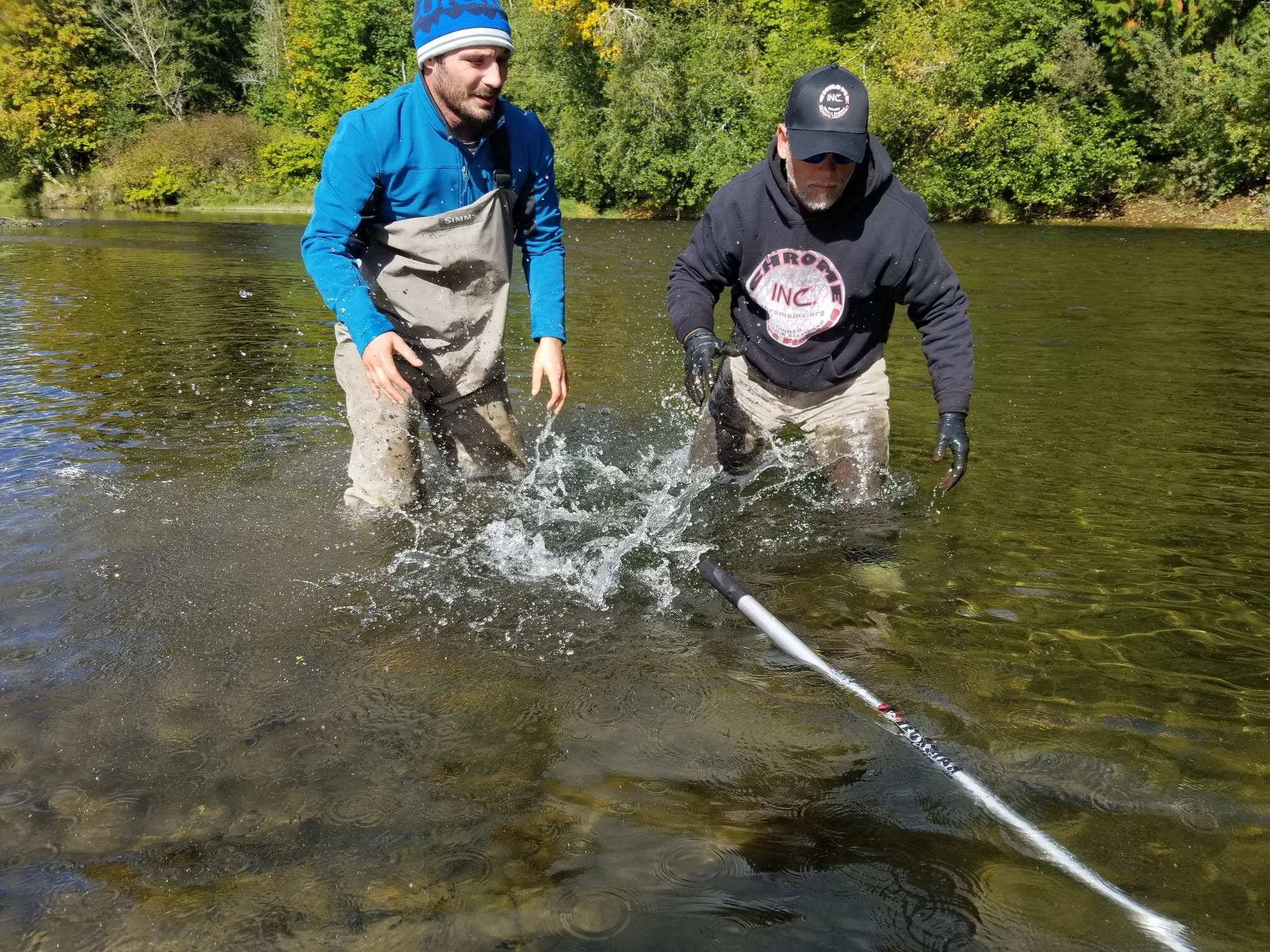 Satsop River Salmon and Steelhead Fishing