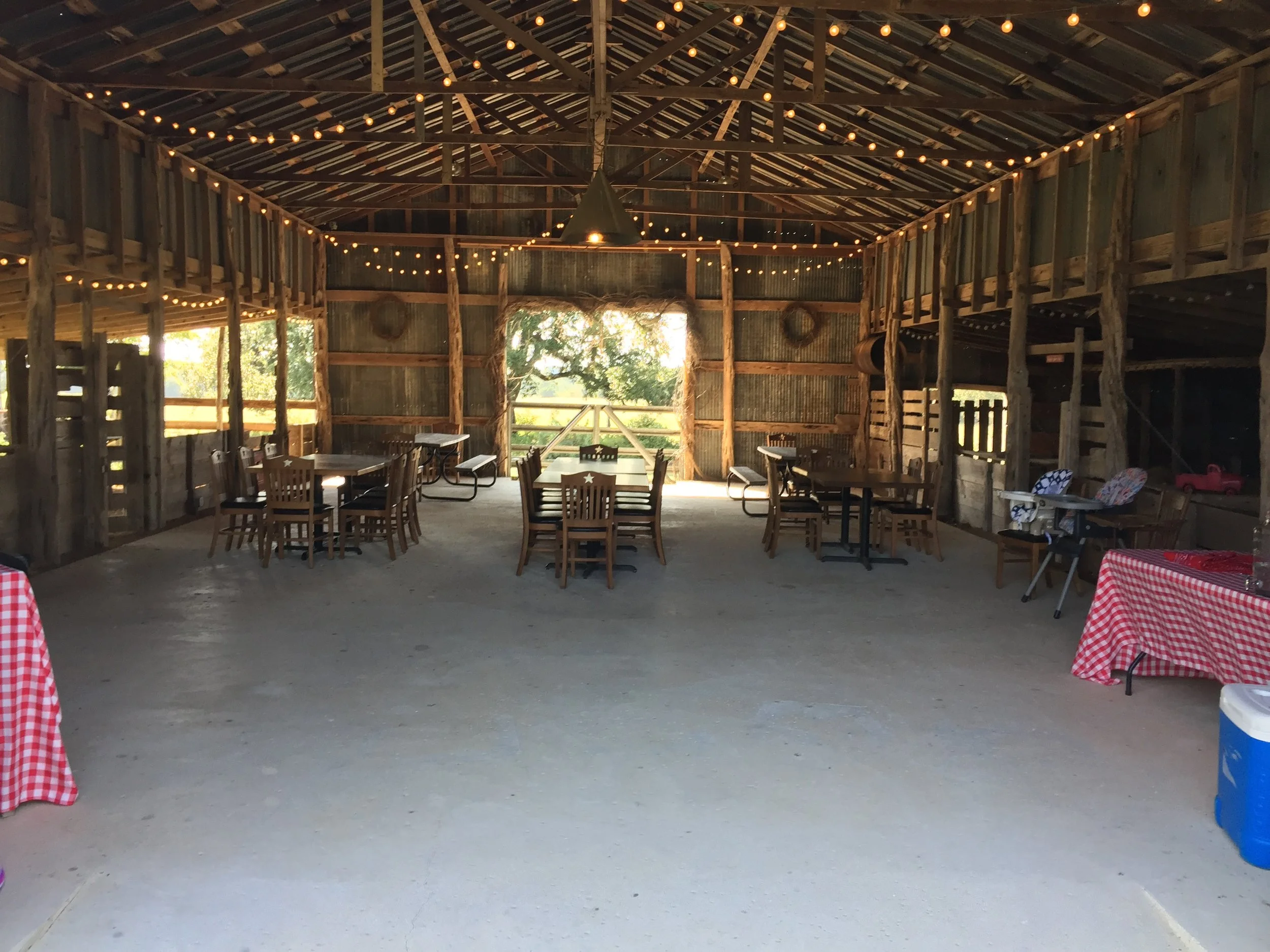 Peace and a Plan: God's Future for Every Child in Foster Care