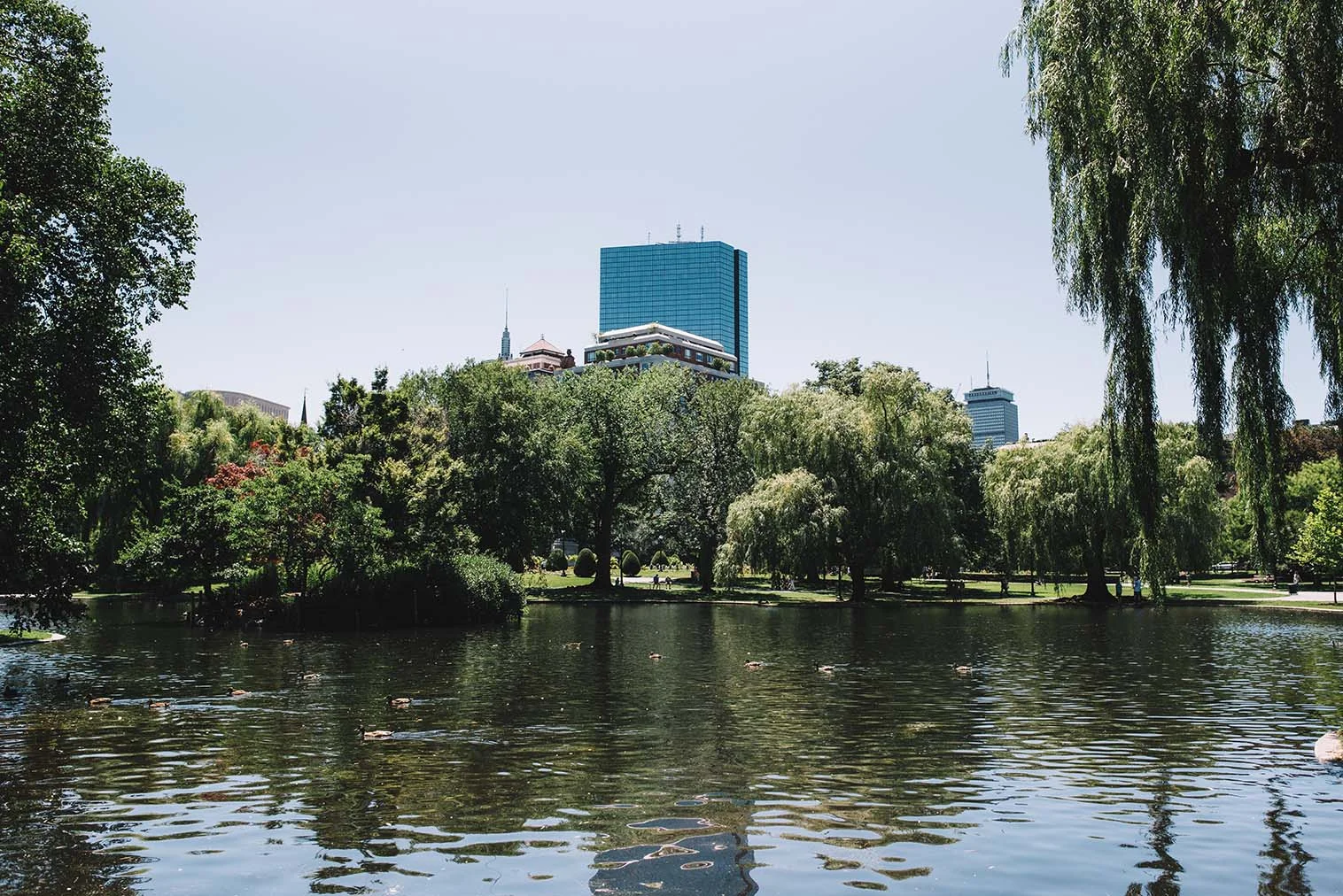 AdamSzafranski-Boston-04.jpg