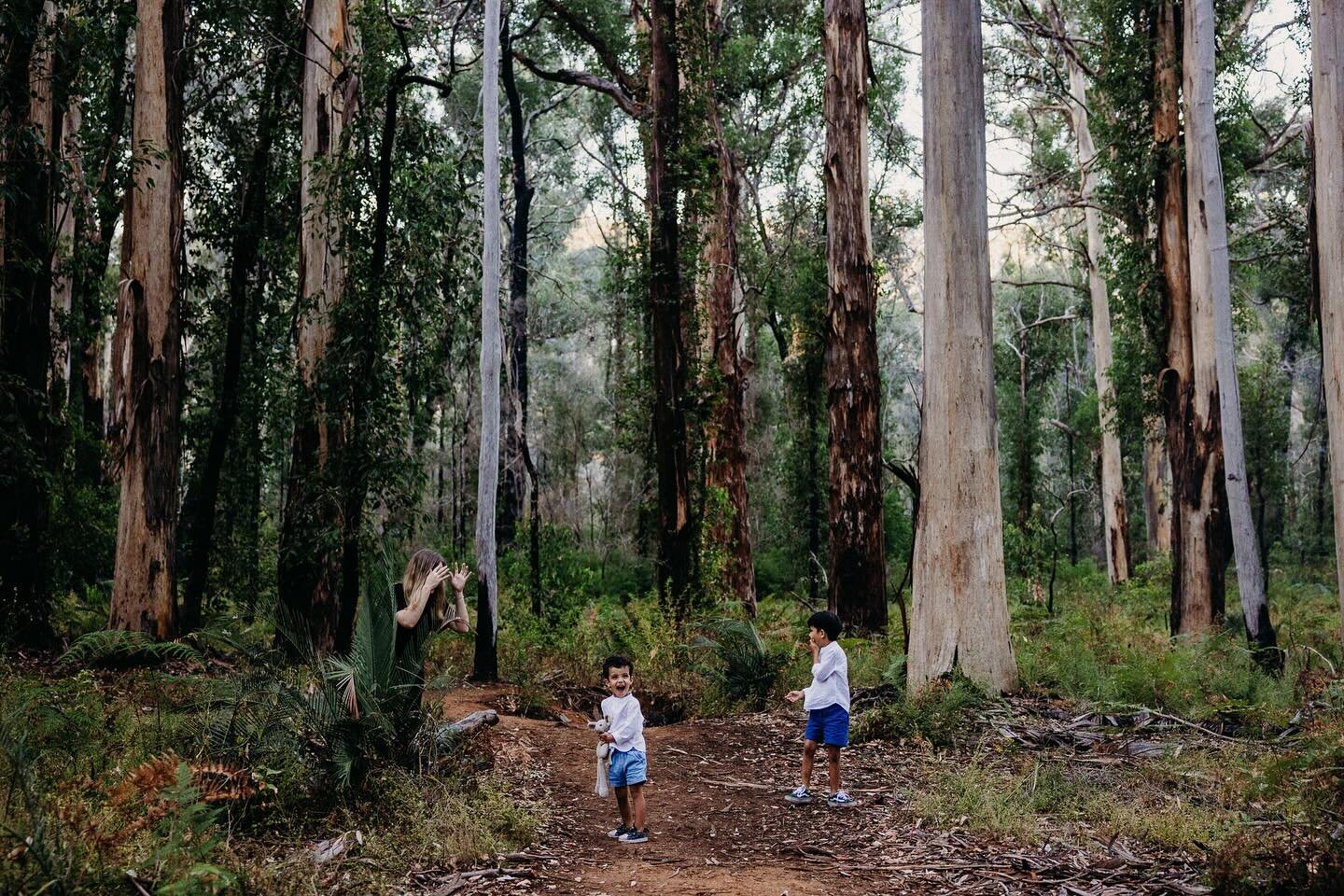 Playing games in the spectacular Boranup Forest. More from this session coming soon.