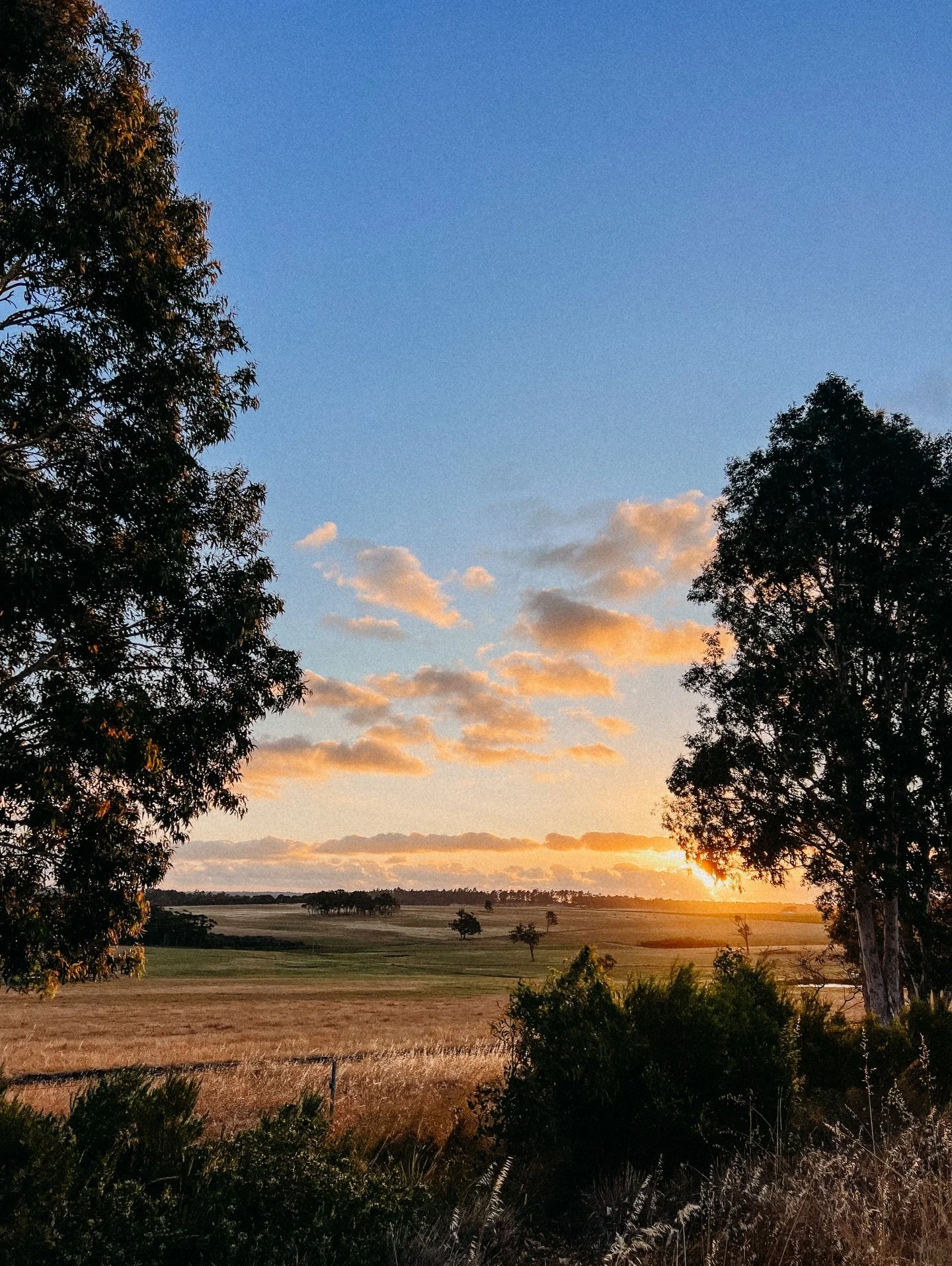 &lsquo;Tis the season of late shoots, beautiful light, summer vibes, happy families, and posting an iPhone photo from the journey home as don&rsquo;t have the capacity for anything more on the feed.