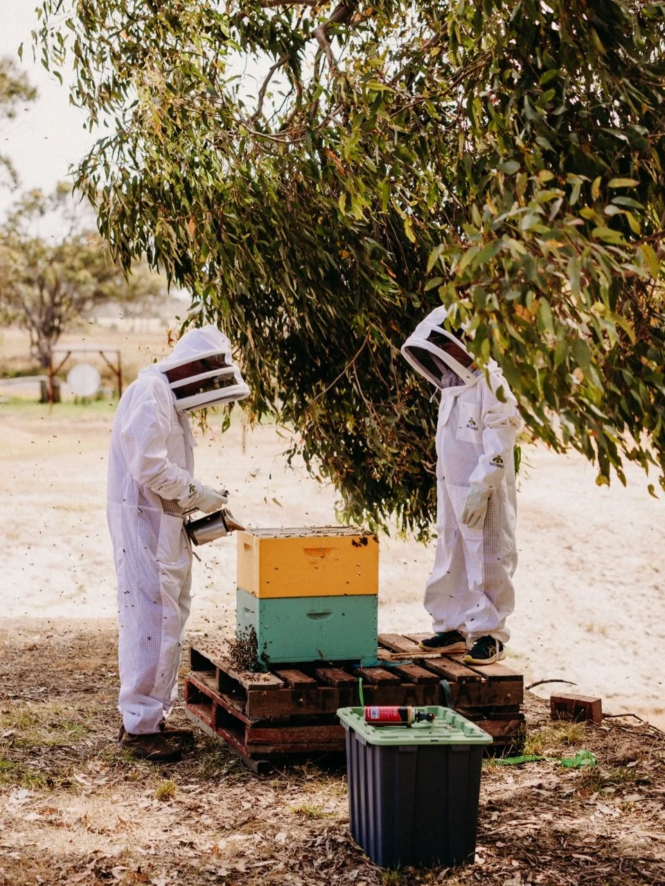 Last week we got bees. I know the saying goes &ldquo;never photograph kids and animals&rdquo; but scrap that, never photograph bee keepers doing their thing. Our fab friend Beau is very kindly helping us out with his incredible knowledge, on our farm