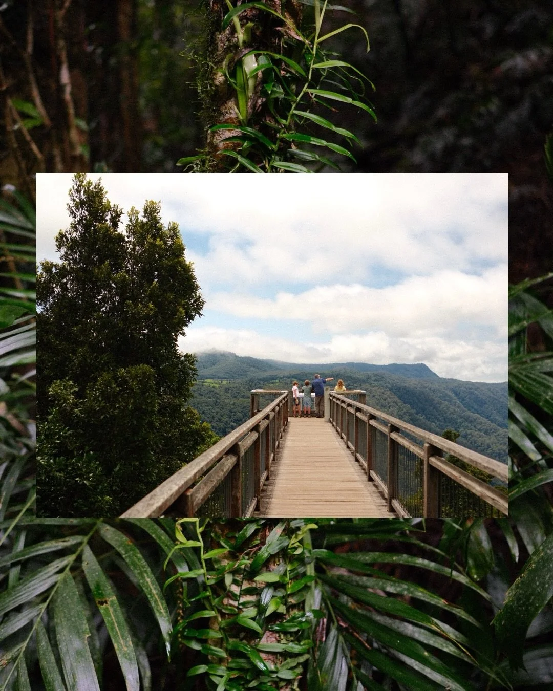 I did something for me at the end of 2025. I invested in a totally new camera. Not for client work, just for me, to help bring joy back into shooting for myself again. I got to the end of the year and realised I barely edited any photos I took of my 