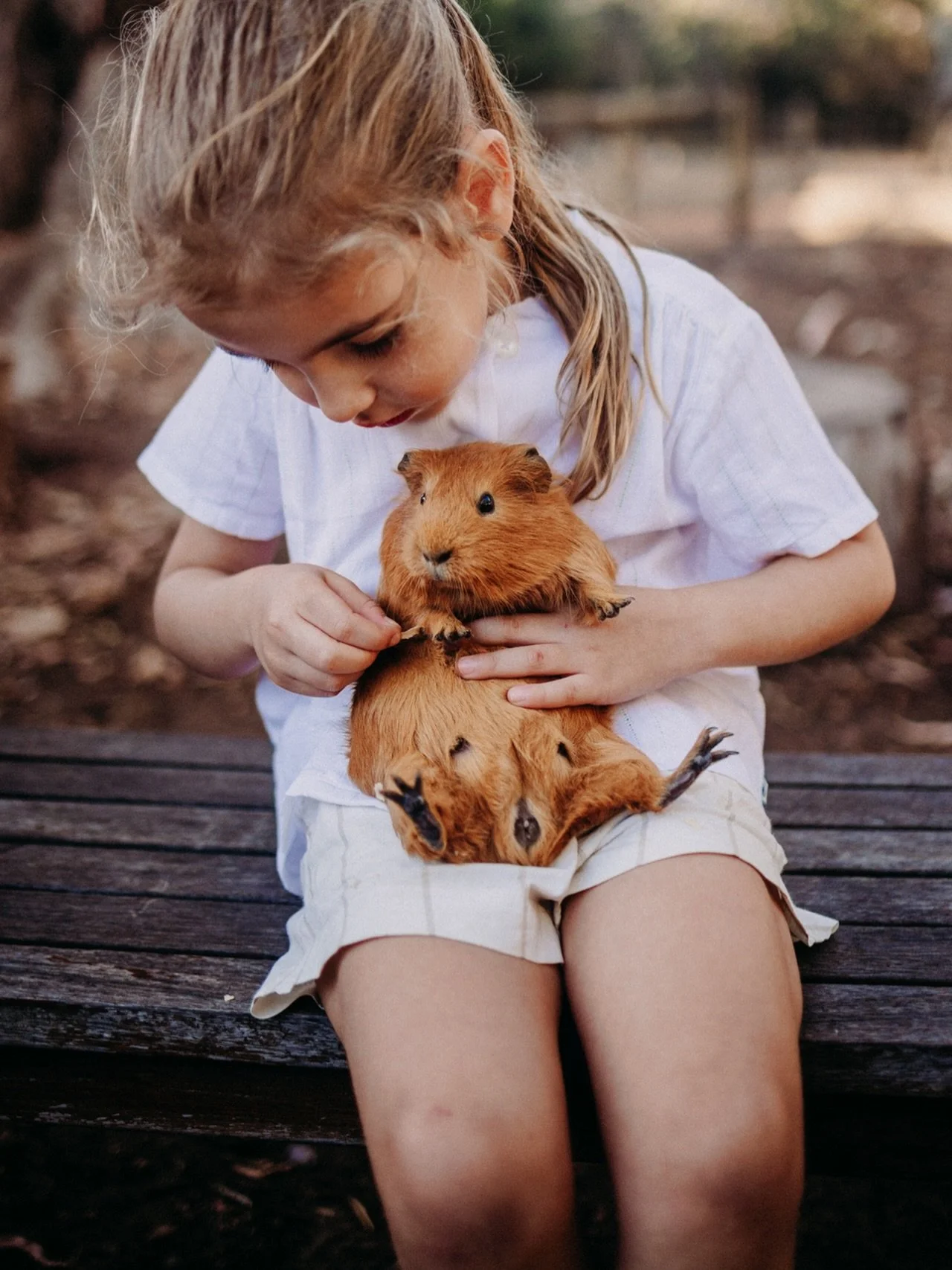 Zoe and &ldquo;ginger Mary&rdquo;. It was a special bond during their stay with us! After a week of an incredible amount of form filling just to keep up with family admin (who can relate?!), I&rsquo;m finishing off with this 1 photo which many will s